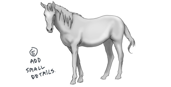 How to draw a horse - step 5
